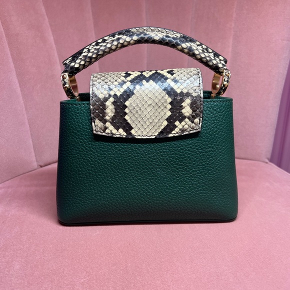 Louis Vuitton Green Python Mini Capucine Bag - Picture 2 of 5